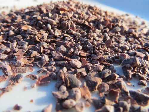 Kakao Nibs ungeröstet Bio 50 g